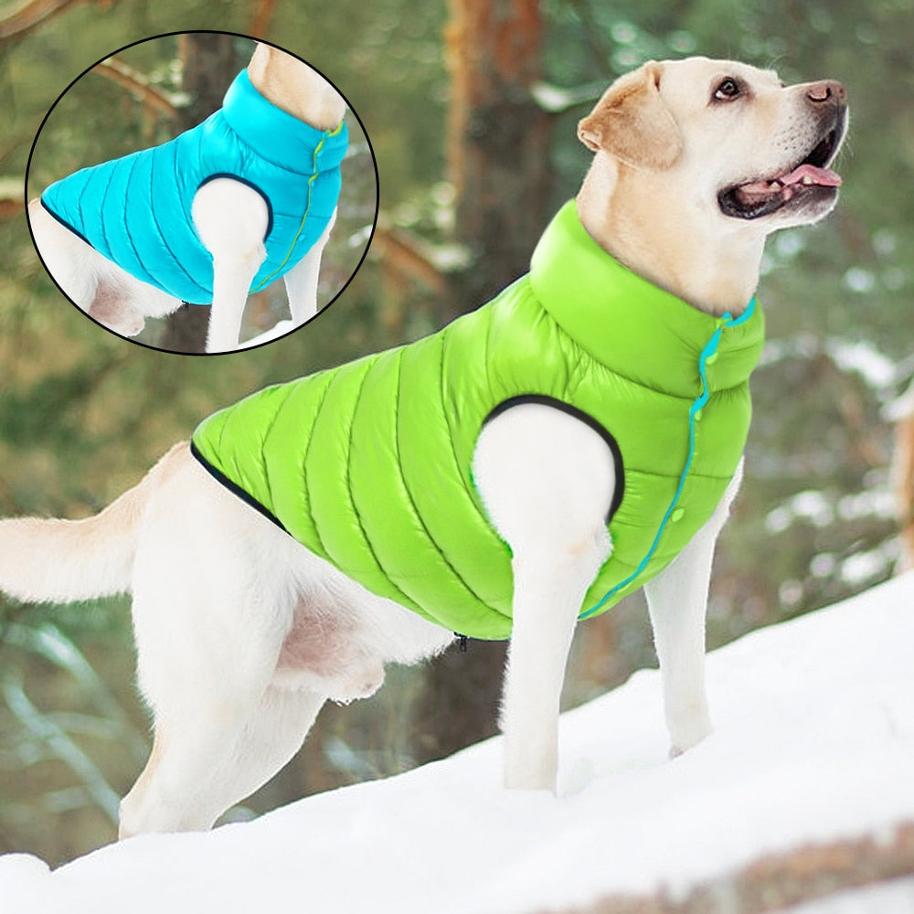 Jaqueta Pet de Inverno - Petsnow®