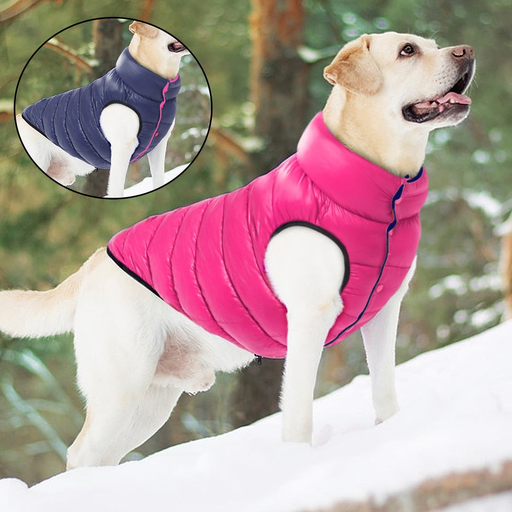 Jaqueta Pet de Inverno - Petsnow®